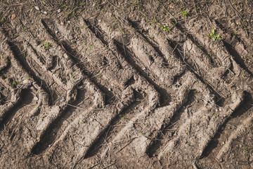 Harringbone tractor tire footprint on dirty mud