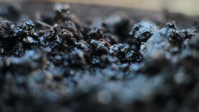 A slow-motion shot of water being poured on soil, gets flooded and then quickly gets absorbed by the organic matter.