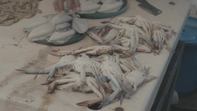 Indian seafood market stall close up of freshly caught blue swimmer crabs, cuttlefish and prawns displayed on a table for sale with a hand organizing everything neatly