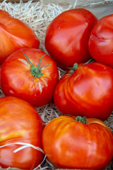 Vegetables of South France, farmers organic ripe tomatoes in assortment on local market in Provence