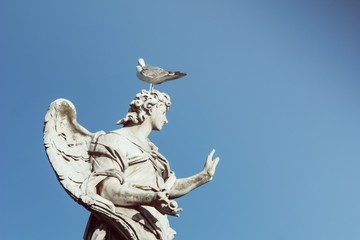 Angel statue with gull on the head. Copy space