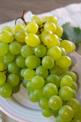 Ripe organic vine of white table seadless grape from Italy, new harvest