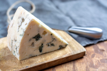 Roquefort soft French cheese made from sheep milk on  south of France, one of the world's best known blue cheeses with blue mold
