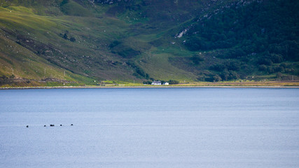 Loch Eriboll