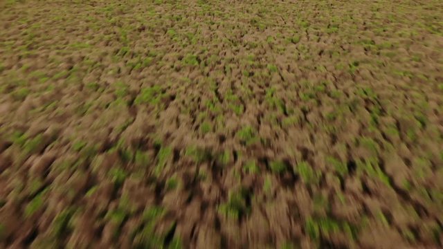 Drone shot of disked soccer pitch as it is being renovated.