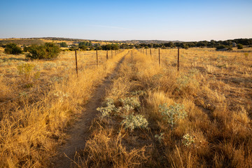 rural path between Narrillos de San Leonardo and Cardenosa at dawn, province of Avila, Spain