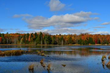 marais, lac, eau, automnal, paysage, nature, fleuve, arbre, ciel, forêt, chute, bleu, arbre,...