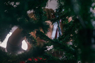 A glance through the Christmas tree,young boy and his favourite candy.