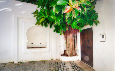 Fototapete bei efototapeten.de bestellen   