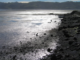 New Zealand. Coast of Sout of New Zealand