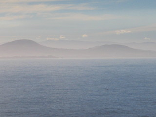 New Zealand. Coast of Sout of New Zealand