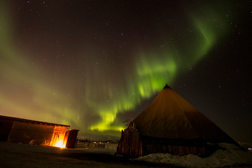 Northern lights in Tromso (norway)