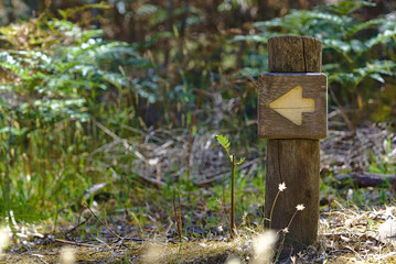 Arrow sign on wooden post