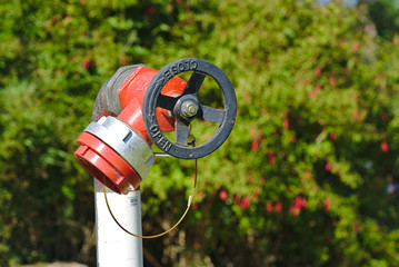New modern fire hydrant in park