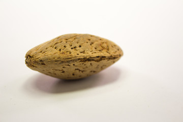 almond nut isolated on white background. dried nuts close up