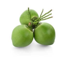 green coconut isolated on white background