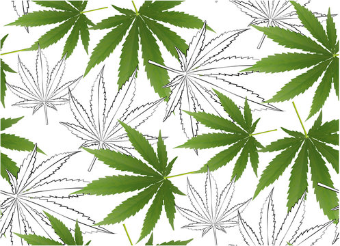 Marijuana leaves seamless vector pattern.