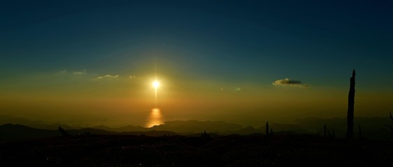 黄金色に輝く熊野灘の朝焼け＠大台ケ原山正木峠