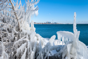 Unusual ice formation on a branches with Toronto skyline on a cold winter day, Ontario, Canada