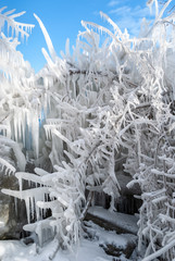 Branches covered with icicles on a winter day with a blue sky on a background, vertical