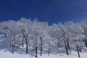 青と白の世界　八海山の雪景色
