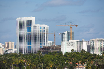 Condos and Cranes in Miami