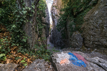 Narrow mountain gorge in the Crimean mountains
