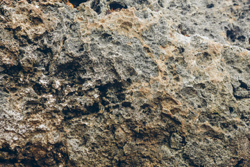 The background and texture of the stone are many small holes. Brown volcanic rocks