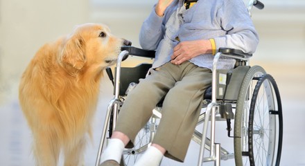 老人介護施設・介助犬と母