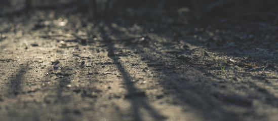 shadows on gravel