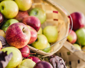 Baskets of Apples Forming a Frame