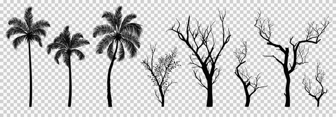 Fototapeta premium Silhouette of dried tree and palm tree isolated, vector illustration eps10