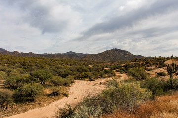 Fototapeta premium Dry wash at Tonto National Forest