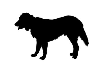 Dog silhouette black on white background