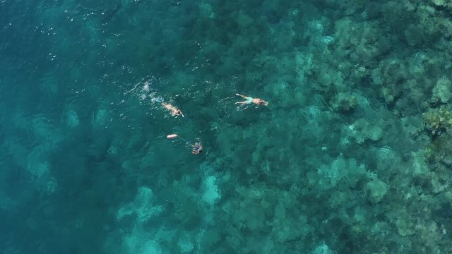 Drone shot of people swimming in clear water to a island