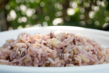 Gaba rice in a dish made of recycled material The background is green lawn.