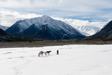 Chersky Ridge. The lone traveler is walking along the ice. Republic of Yakutia, Russia. 2012