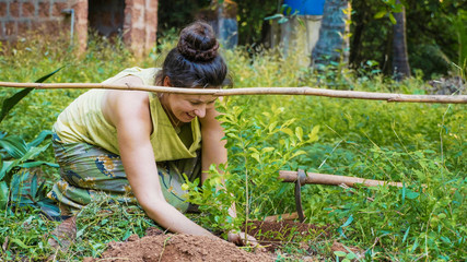 Woman planting a sprouts of flowers in soil at the garden