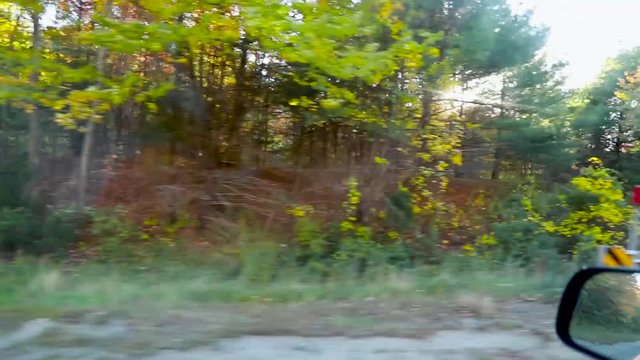 A New England drive in the fall with sun glare peaking through the autumn trees.