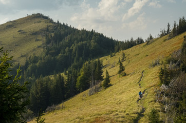 Plus size young pretty brunette woman backpacking in summer at the mountains.  Outdoor activity concept. Health life and summer vacation concept. Sunny summer evening at Ukrainian Carpathians.