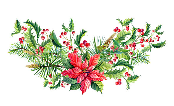 Watercolor Christmas bouquet with Red poinsettia flowers,Holly,leaves,berries,pine