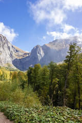 Fototapeta premium Droga wiecznego lata.