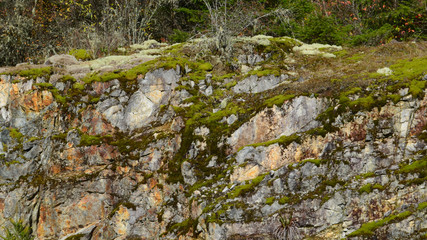 Mossy BC rock face