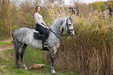 woman with a horse for a walk