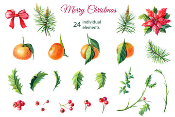 Watercolor Merry Christmas elements.Red poinsettia flowers,Holly,leaves,tangerines,berries,pine,spruce,green twigs on white background.