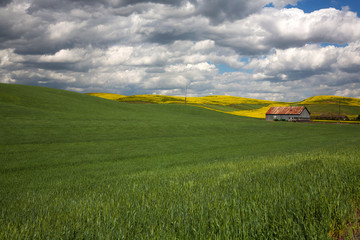 Obraz premium clouds and field