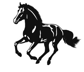 Fototapeta na wymiar Vector logo of a running horse