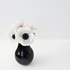white flowers in black vase 