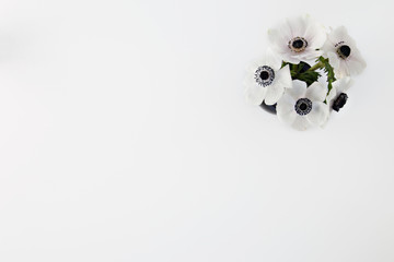 white flowers in white background