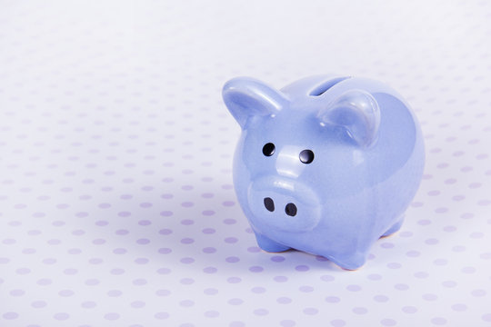 Blue piggy bank. Symbol of the year. Copy space